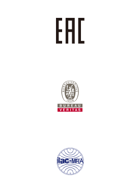 索龙自控资质证书